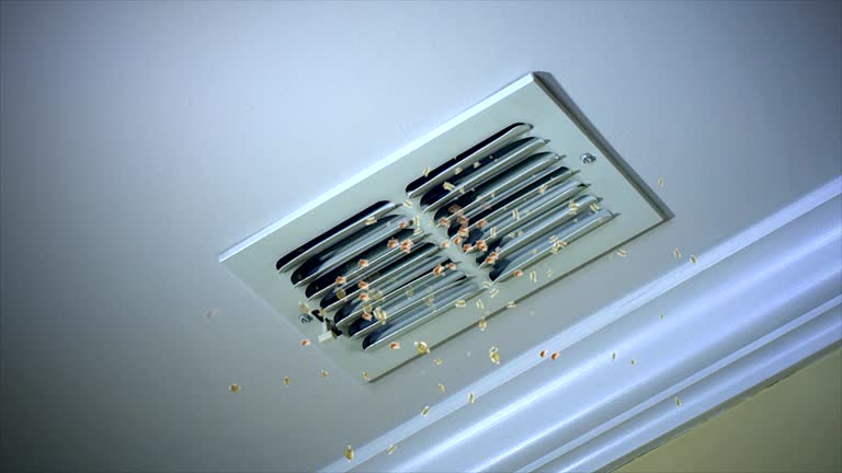 Best Local Air Duct Cleaning Services  in Great Falls, VA